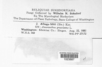 Image Associated With the Occurence